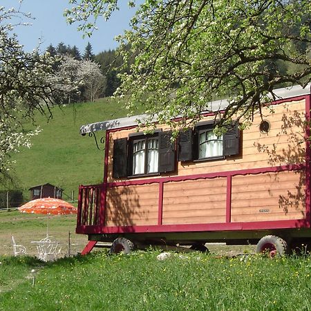 Le Repaire De Mitzerle Villa Mitzach Dış mekan fotoğraf