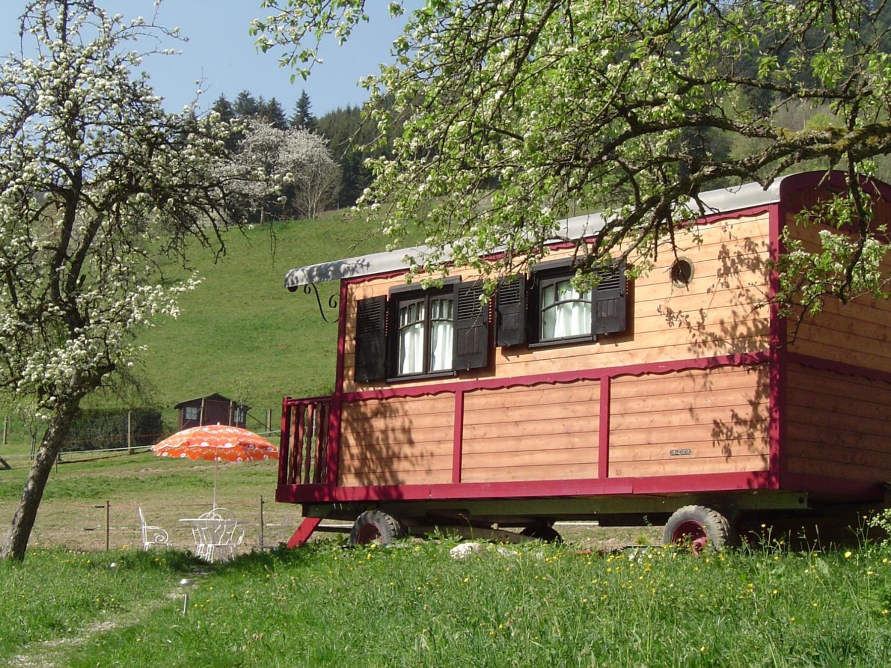 Le Repaire De Mitzerle Villa Mitzach Dış mekan fotoğraf